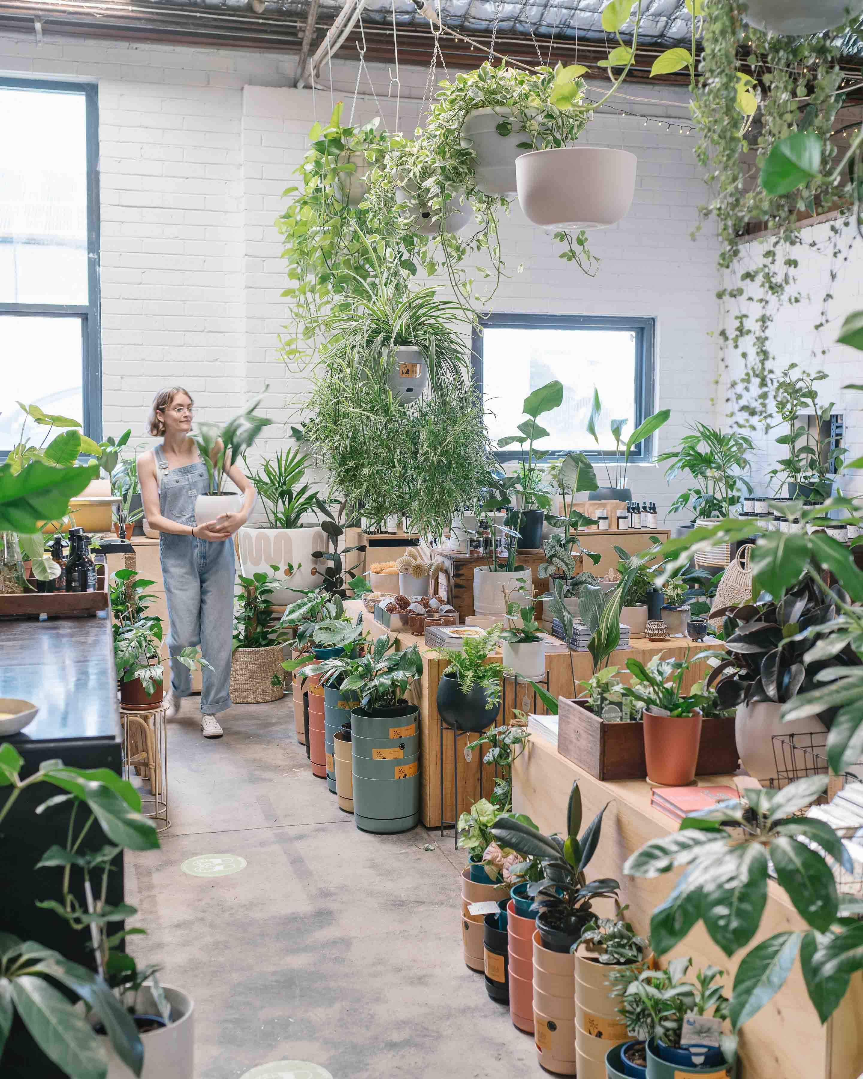 Stackwood Fremantle WA 4