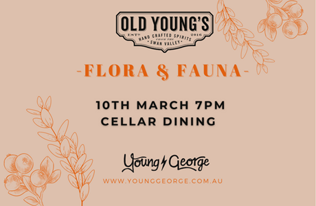 Young George Old Young's