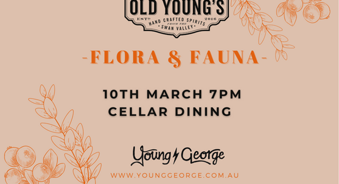 Young George Old Young's