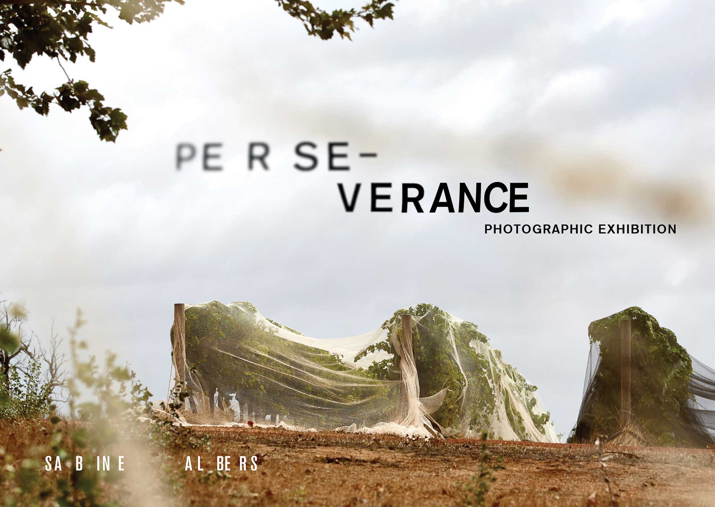 Sabine Alders Perserverance Fremantle WA 2