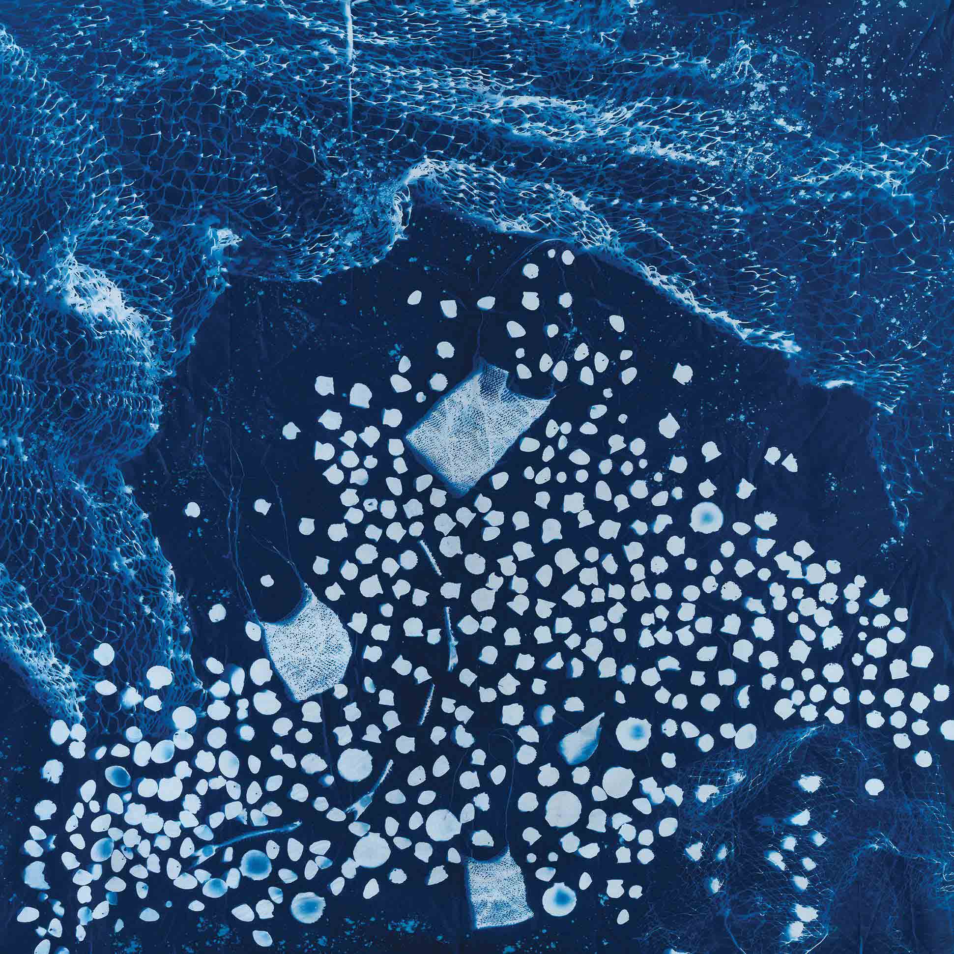 Perth Festival Fremantle WA 6